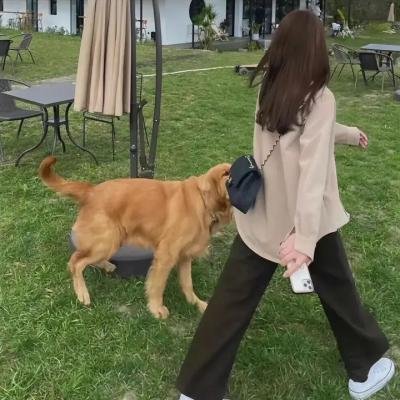 人皮客栈